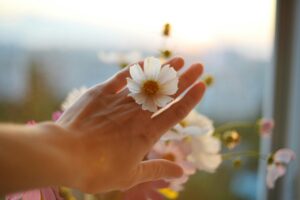 liana-s-yd5XDKQFZkg-unsplash