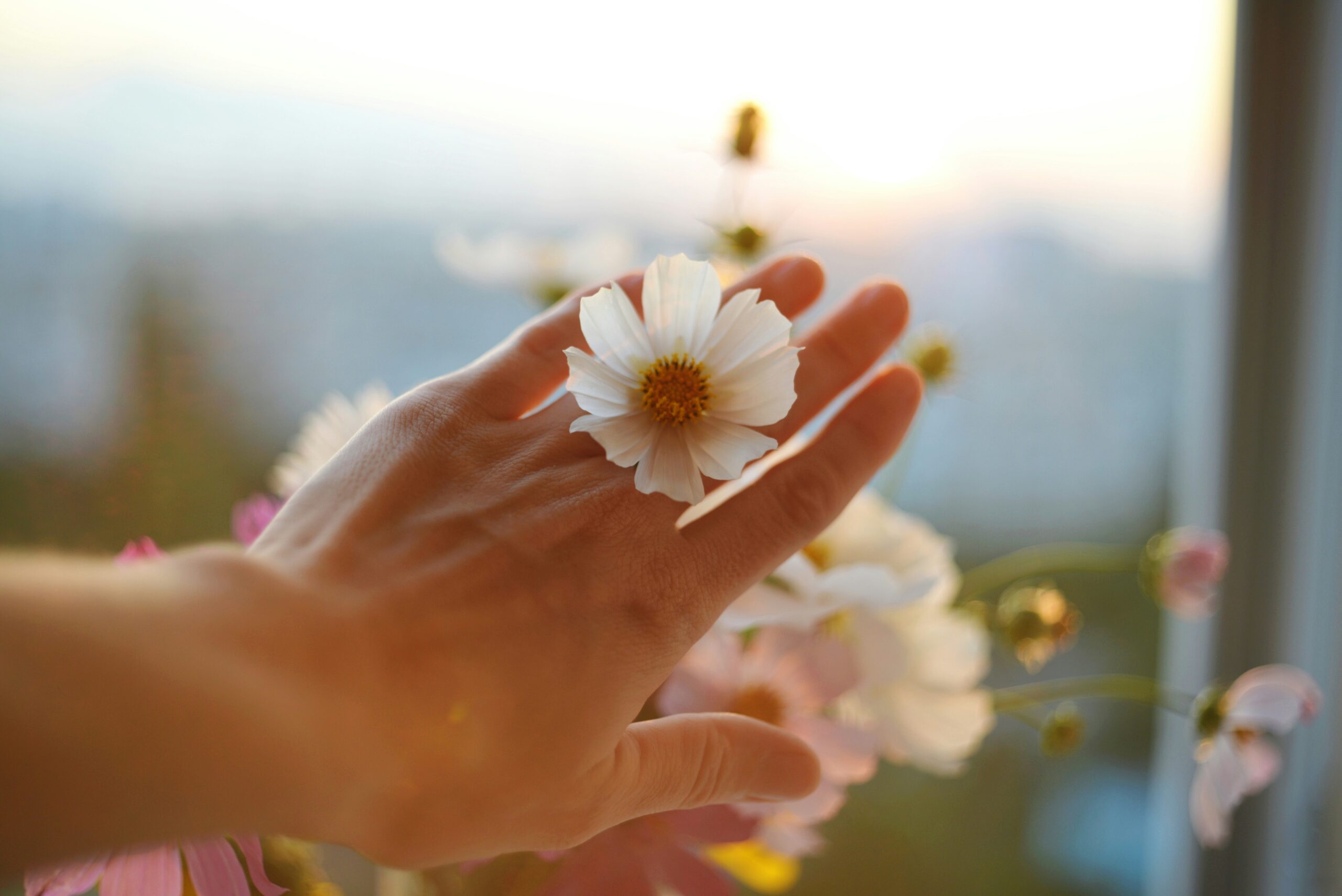 liana-s-yd5XDKQFZkg-unsplash